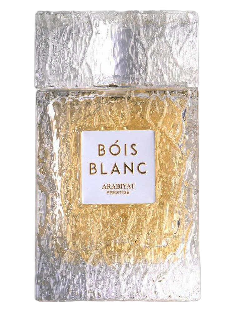 BOIS BLANC 100ml eau de parfum bottle: Perfume Studio