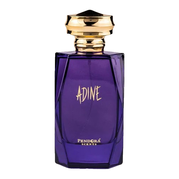 Pendora Scents Adine 100ml 100ml Eau de Parfum bottle: Perfume Studio
